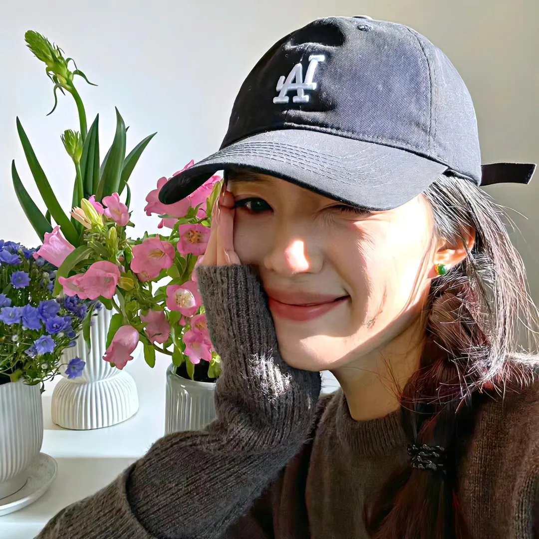 粉色水仙 封面