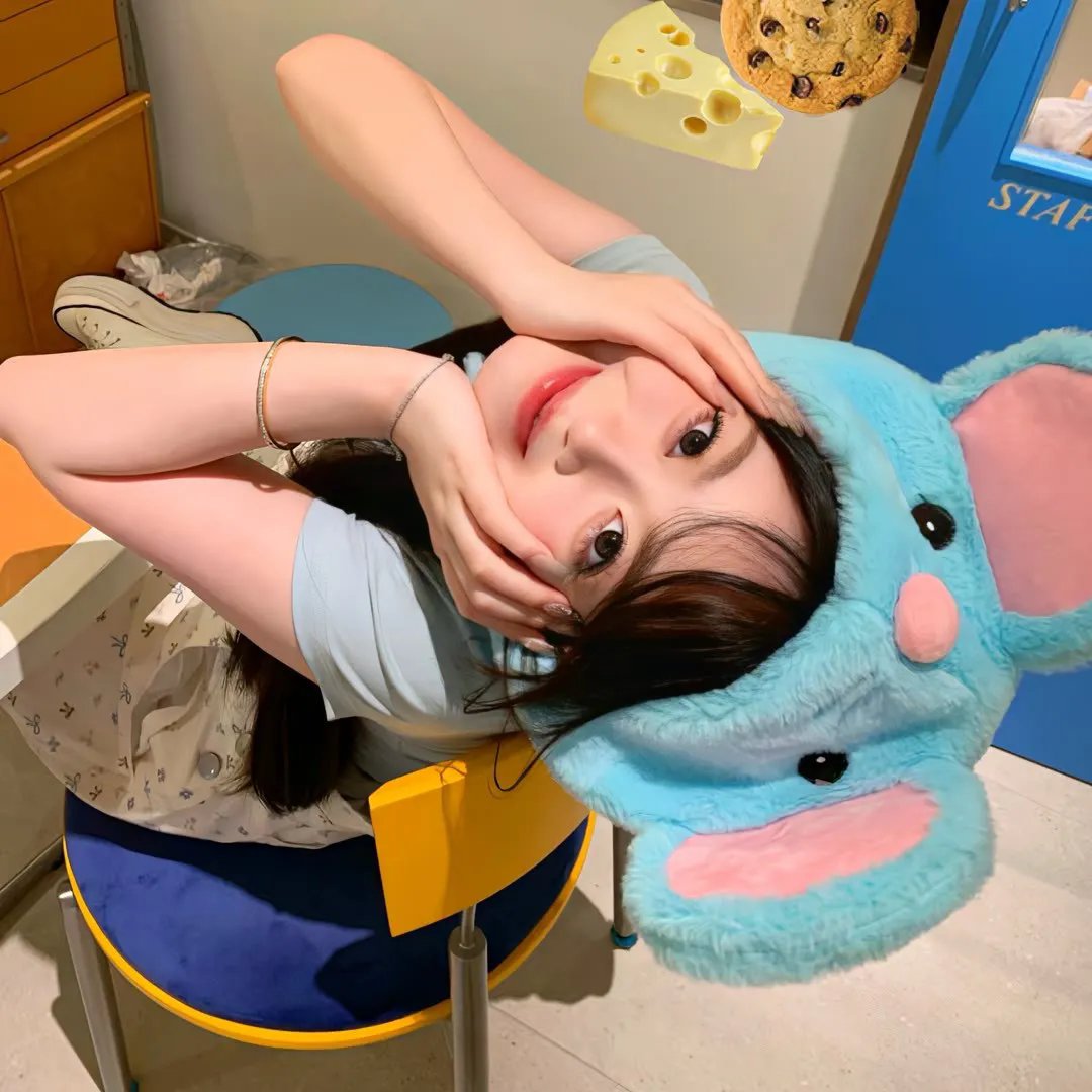 庇护 封面